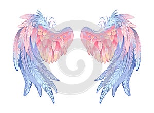 Delicate angel wings on white background photo