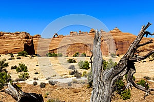 Delicate Arch at Arches National Park