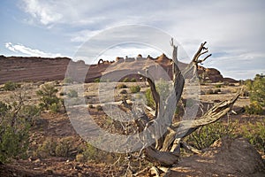 Delicate Arch Landscape Arches N.P. Utah