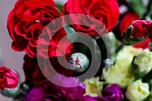 Delicate artistic closeup bouquet of blooming Carnation Dianthus Caryophyllus, or Clove Pink flower.