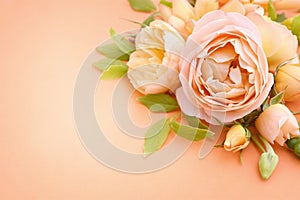 Delicate blooming festive apricot and light yellow roses background, blossoming rose flowers soft pastel frame