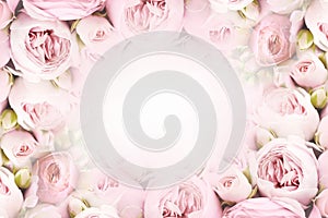 Delicate blooming festive peony roses, light pink flower background, blossoming soft rose flowers, bouquet floral card