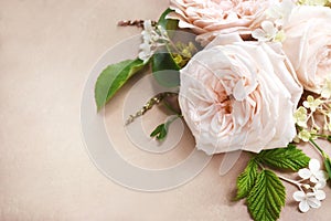 Delicate blooming festive roses and pink summer flowers, blossoming rose flower soft pastel background