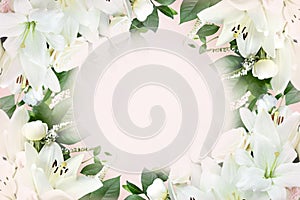 Delicate blooming festive white lily flowers frame, blossoming flower soft pastel background