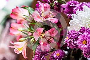 Delicate blossoming pink flowers, blooming  background, flower bouquet pastel image, soft petal.  Magenta peruvian lily alstroemer