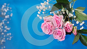 Delicate blossoming pink flowers, blooming roses festive background