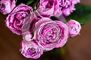 Delicate blossoming pink, white  flowers, blooming roses festive background, flower bouquet pastel image, soft petal. On dark grey