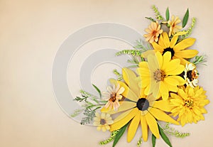 Delicate blossoming yellow autumn flowers, blooming festive fall frame background, autumn bouquet floral card