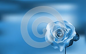 Delicate blue Rose on a blurred background
