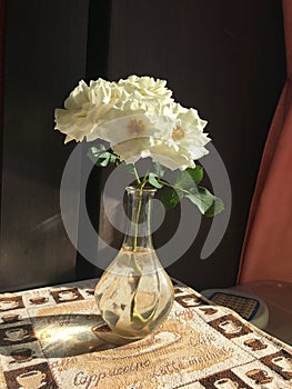 A delicate Branch of white tea roses in a glass jar on a dark background