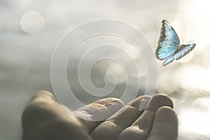 A delicate butterfly flies away from a woman`s hand