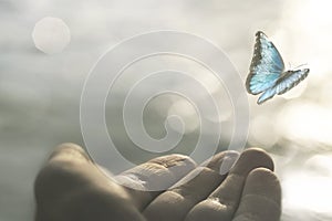 A delicate butterfly flies away from a woman`s hand photo