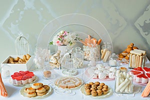 Delicate candy bar at a wedding or party. Cookies, candy, marshmallows and flowers on the table