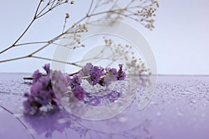 Delicate composition of lilac flowers with reflection on a soft blurred background