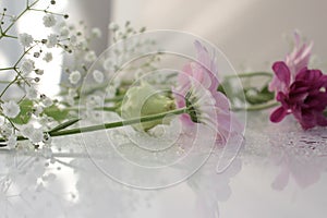 Delicate composition of pink flowers with reflection on a soft blurred background