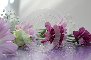 Delicate composition of pink flowers with reflection on a soft blurred background