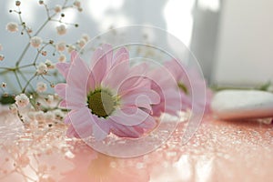 Delicate composition of pink flowers with reflection on a soft blurred background