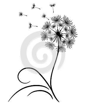 Delicate dandelion with flying seeds. Lonely flower with thin stem and leaves. Black outline drawing on white background. Vector