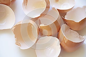 Delicate Egg Shells on a White and Airy Background