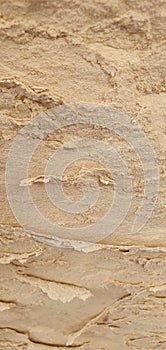 The Delicate Eroding Rock Texture