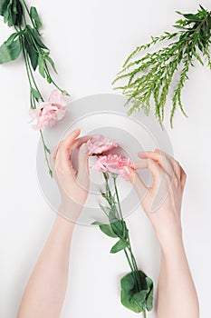 Delicate female hands hold a pink eustoma flower and tear off a petal with their finger. Flat lay. White background with plants.