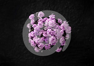 Delicate flower on a black background. Flat lay, top view.