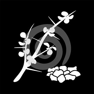 The delicate flower of myrrh isolated logo icon. white silhouette. Vector