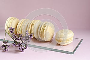 Delicate French macaroons. Homemade production. Lavender flower.