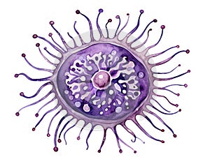 A delicate germling on a white background, illustrated in watercolor style