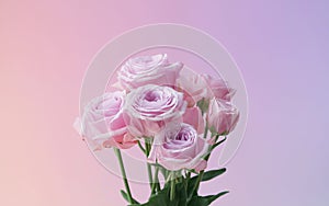 Generative-AI, Soft Pastel Gradient from Blush Pink to Lavender photo