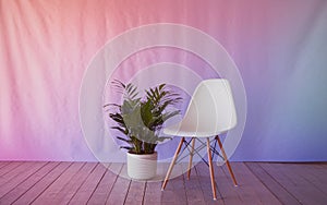 Generative-AI, Soft Pastel Gradient from Blush Pink to Lavender photo
