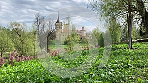 Delicate green leaves, the beginning of spring