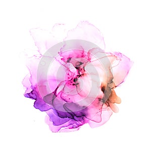 Delicate hand drawn watercolor flower in pink and violet tones. Alcohol ink art. Raster illustration.