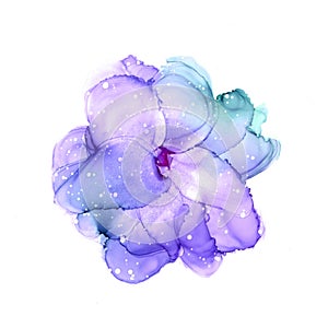 Delicate hand drawn watercolor flower in violet and turquoise tones. Alcohol ink art. Raster illustration
