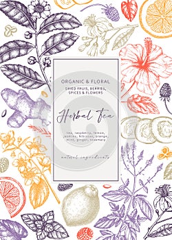 Delicate herbal tea ingredients banner with botanical elements. Vintage herbs, leaves, flowers, fruits hand drawings background.
