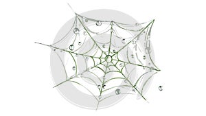 Delicate Green Spider Web, Nature's Intricate Pattern, vector design Generative AI