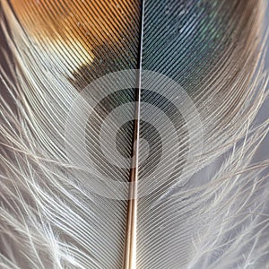 Is delicate and layered highlighting the complex structure typical of bird