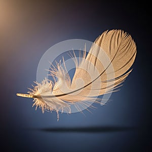 Its curved shape casts a subtle shadow, enhancing the three-di