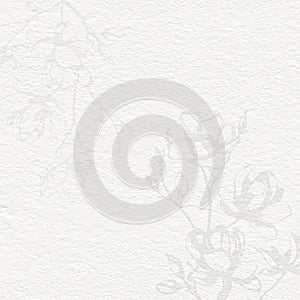 Delicate Magnolia watercolor botanical digital paper floral background