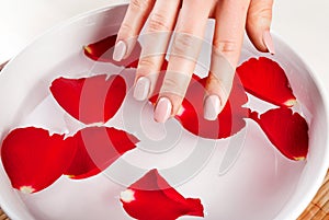 Delicate Nails Manicure: Girl\'s Hand Touching Water with Red Rose Petal