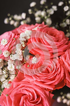 Delicate pastel pink bunch of roses decorated with small white flowers on black background as a romantic backdrop