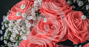 Delicate pastel pink bunch of roses decorated with small white flowers on black background as a romantic backdrop