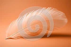 A delicate peach fuzz color feather lying on minimal background