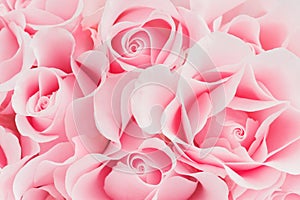 Delicate pink background of blooming roses