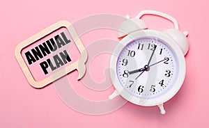 On a delicate pink background, a white alarm clock and a wooden frame with the text ANNUAL PLAN