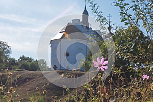 Delicate pink flower on Cosmos bipinnatus on blurred background Church of St. Elijah in the village of Subotovo, Ukraine.