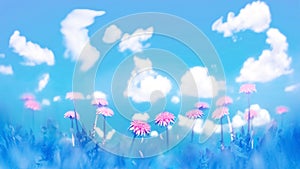 Delicate pink flowers on blue sky background with clouds. Summer spring natural image.