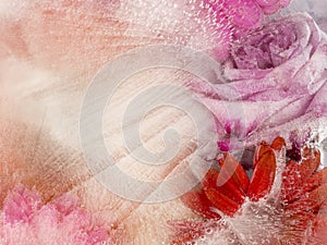 Delicate pink and red abstraction