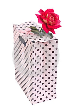 Delicate pink rose in gift paper bag isolated
