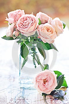 Delicate pink roses